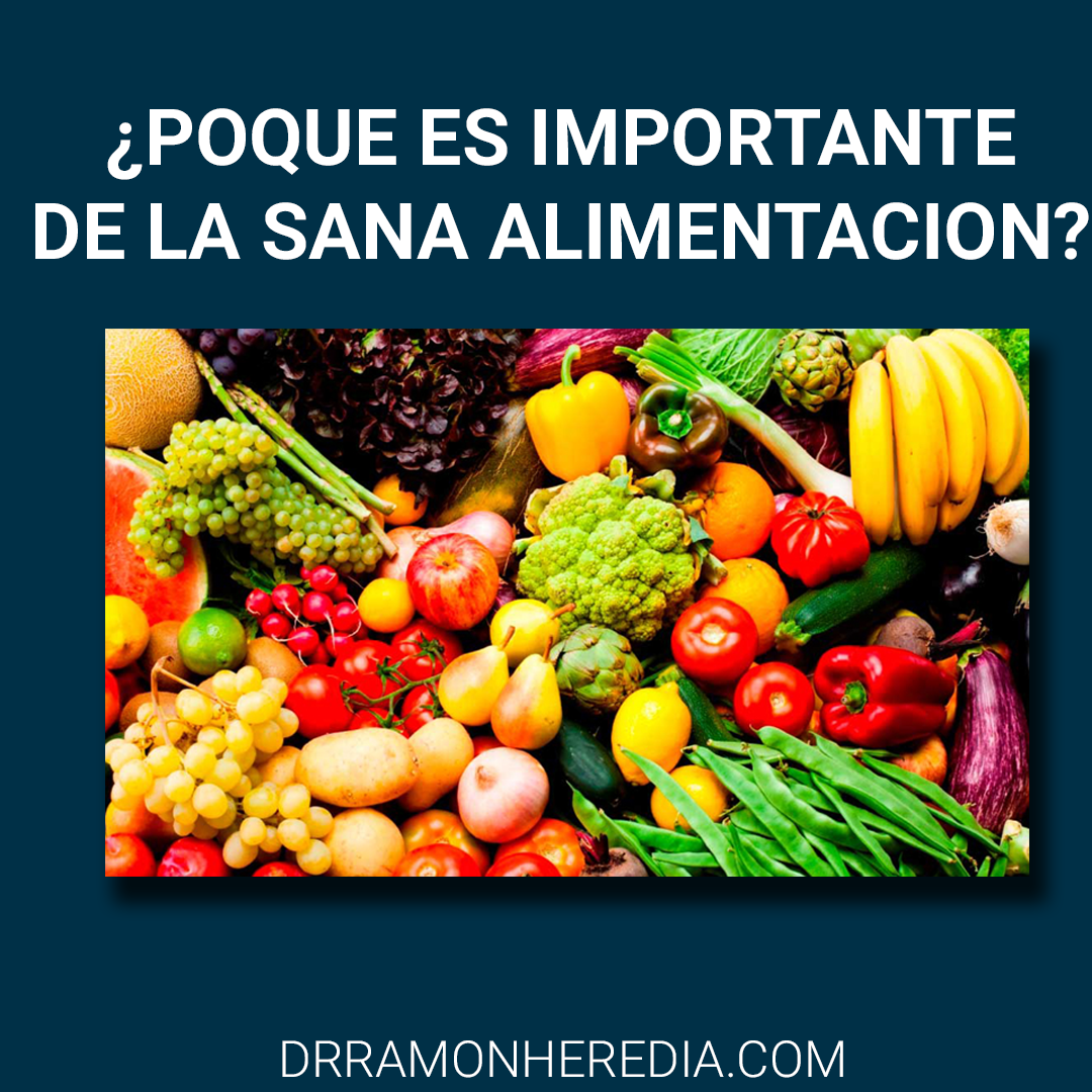 sana alimentacion